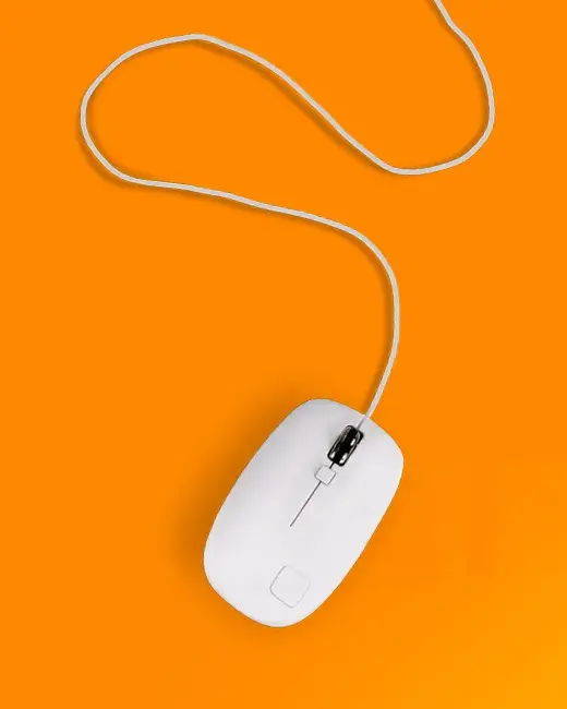 Website Services