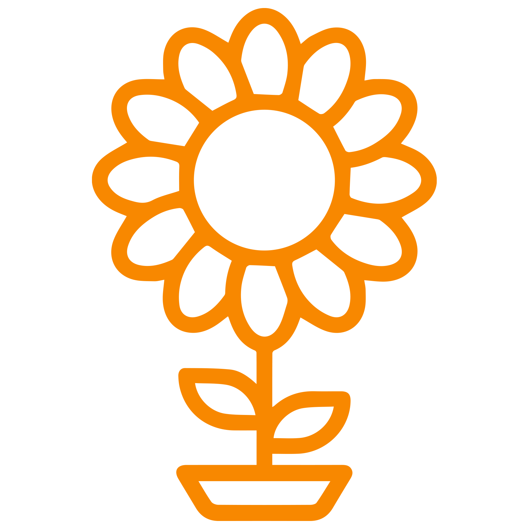 icon